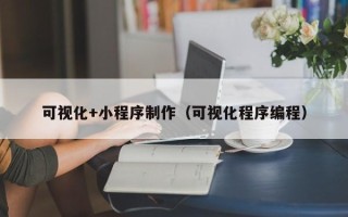 喀什可视化+小程序制作（可视化程序编程）